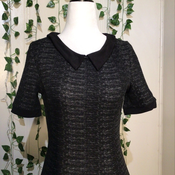 Black Collared Dress (H&M 8) - Picture 2 of 3